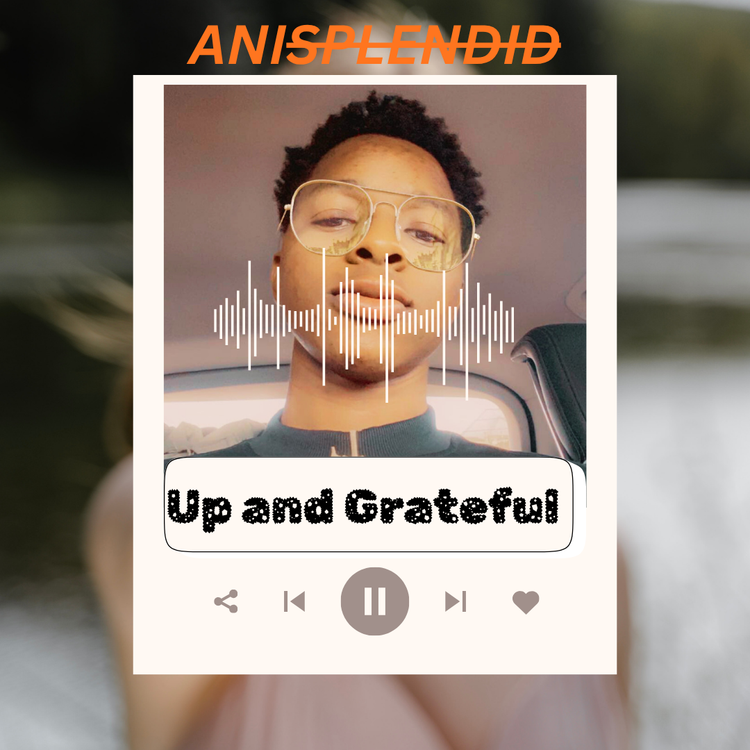 Anisplendid album img