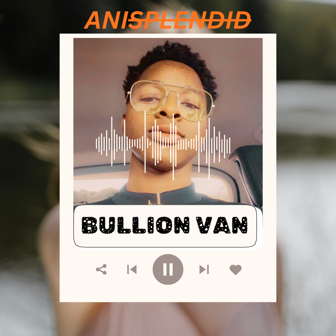 Anisplendid album img